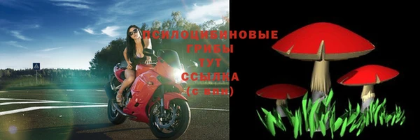дмт Бронницы
