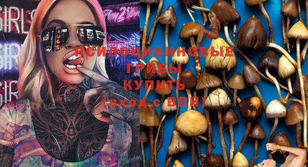 MDMA Premium VHQ Бородино