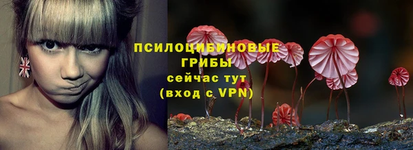 трава Бугульма
