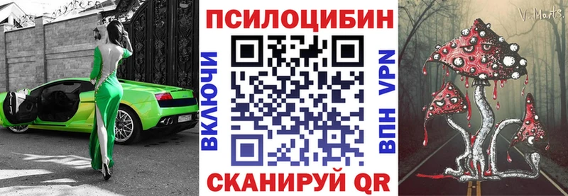 Галлюциногенные грибы Psilocybine cubensis Тольятти