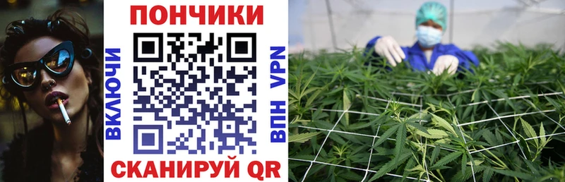 Бошки марихуана OG Kush  МЕГА маркетплейс  Тольятти 